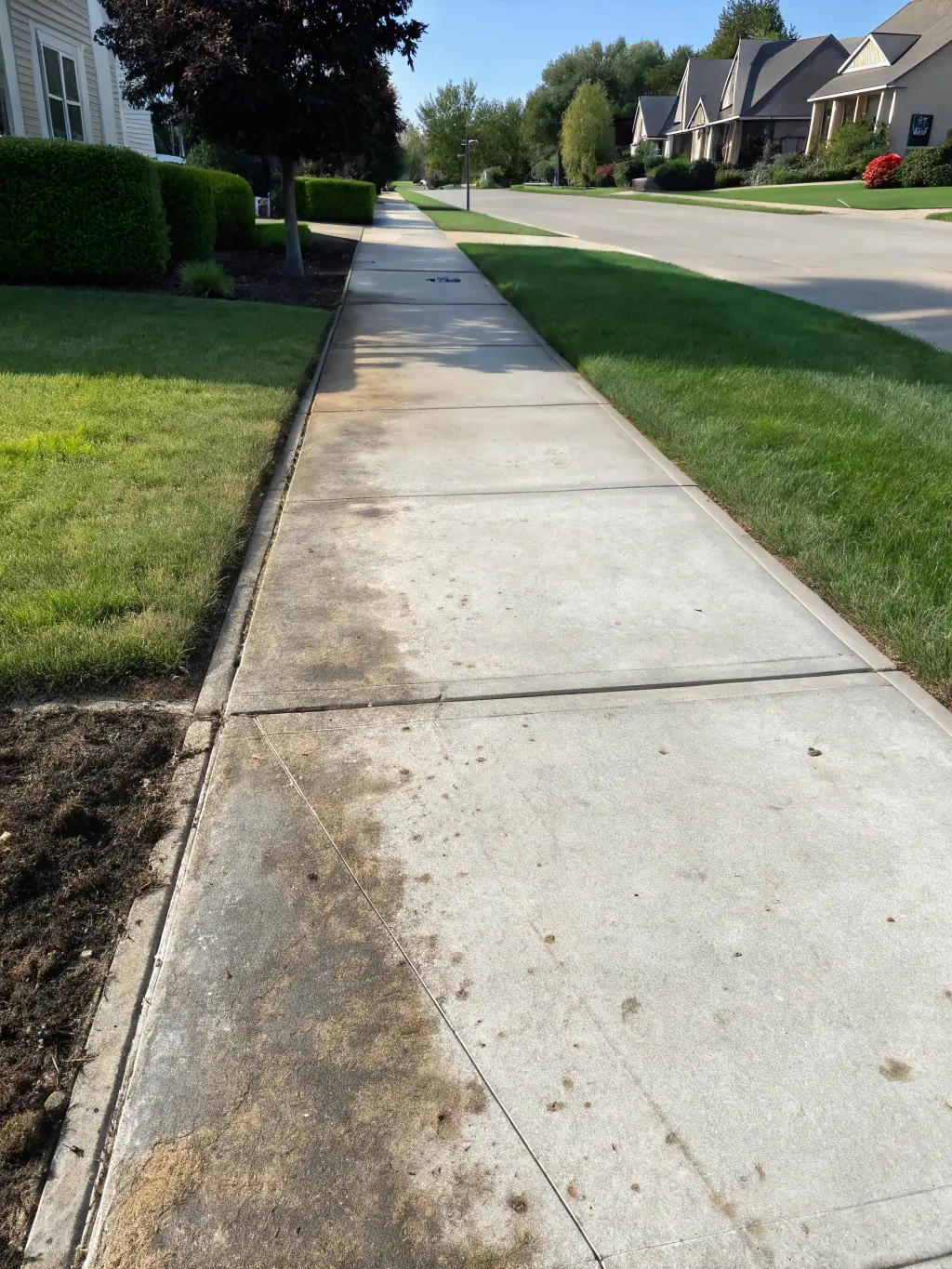 A clean driveway with a clear demarcation between dirty and cleaned sections.